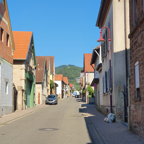 Blick auf die Kalmit von Maikammer aus