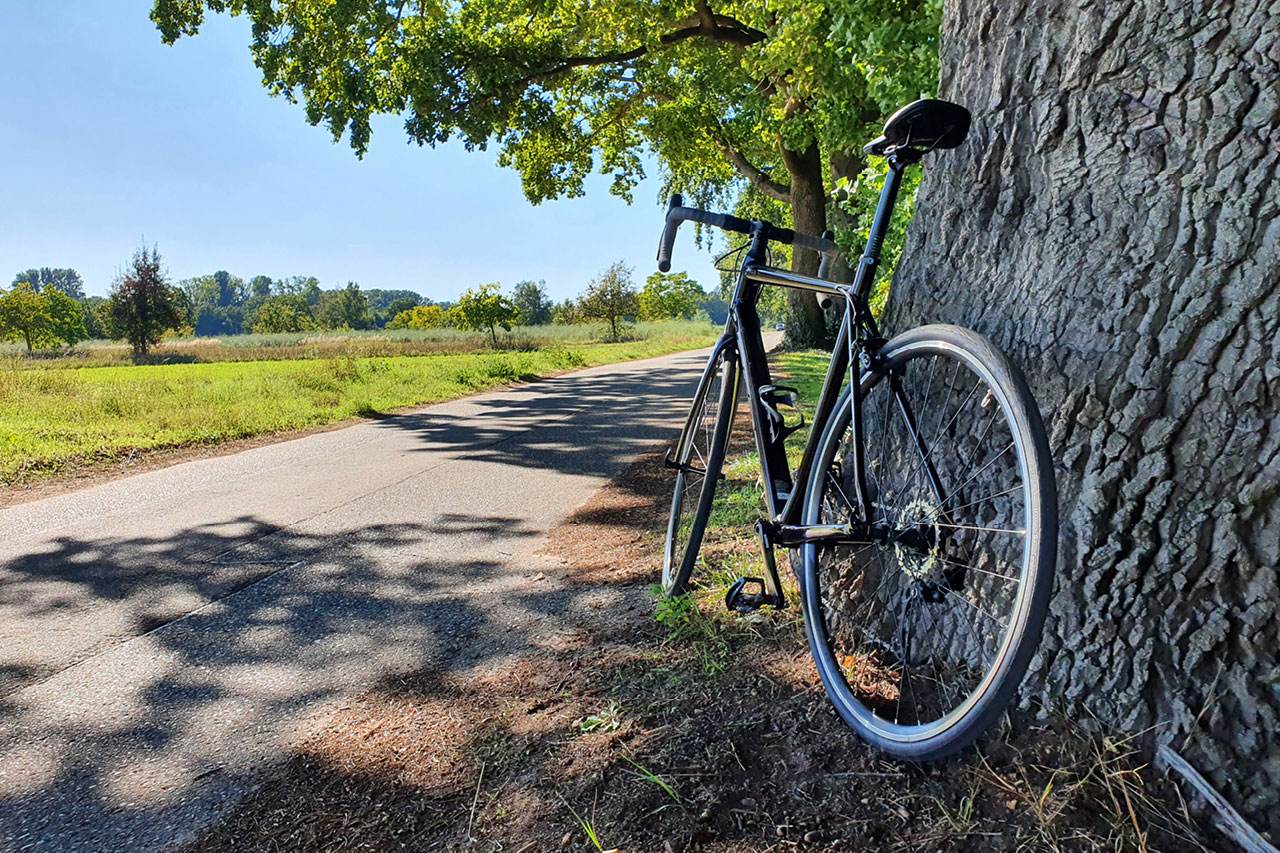 camping topf edelstahl CC-18 2.0L Saucepan – Stainless Steel Portable Pot IH Compatible for Camping & Outdoor Cooking – Campingmoon Surfhandschoen Gefertigt aus robustem Edelstahl Guilty Gear: Axl and Choose Option:Pedal 9/16